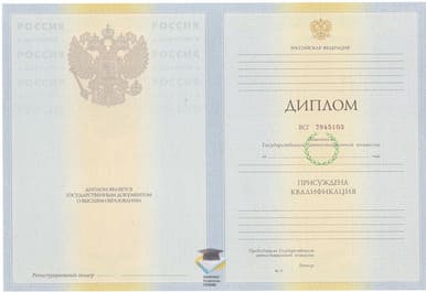 Диплом АлтГУ 2010-2011 годов